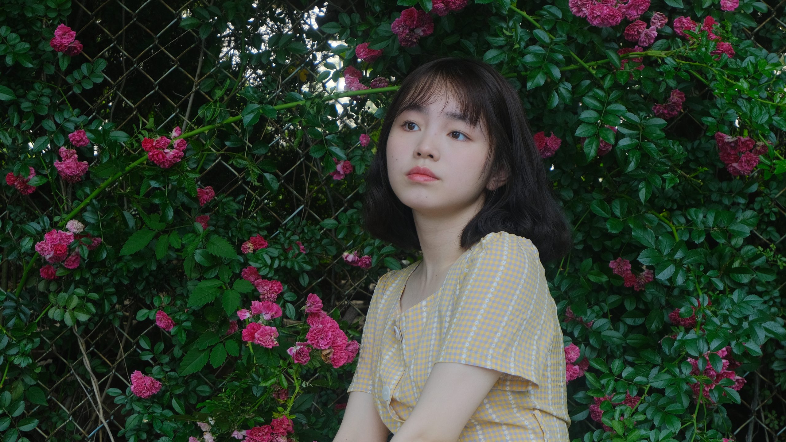 植物园