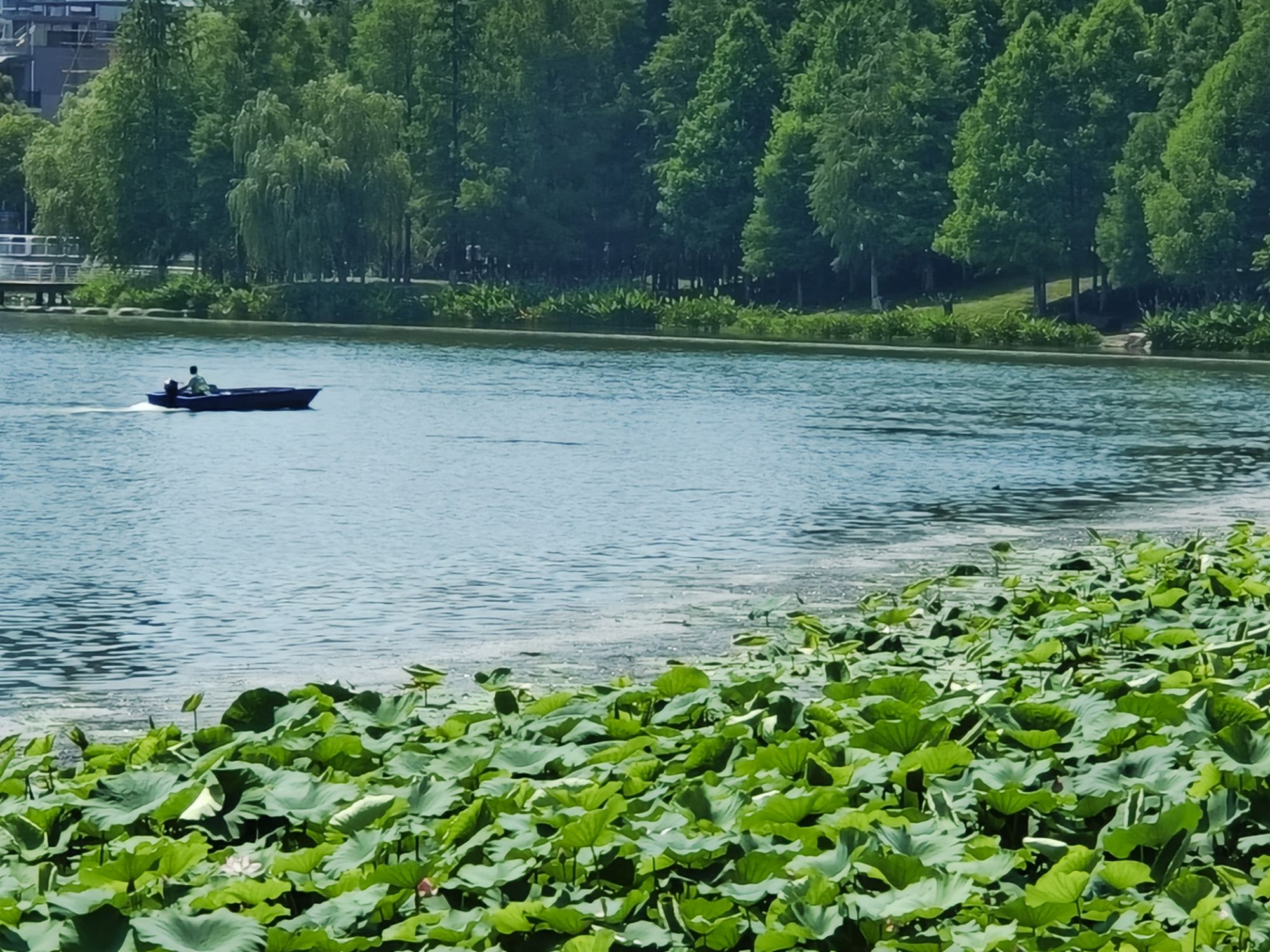 武汉 · 沙湖公园